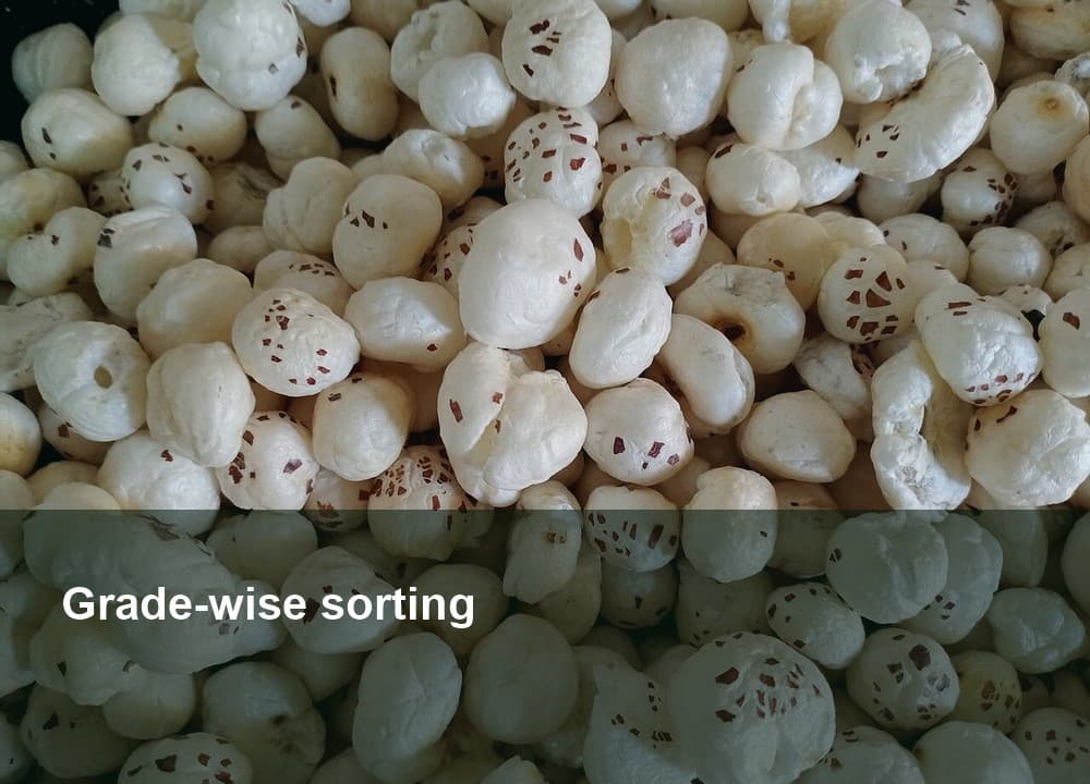 Grade-wise sorting